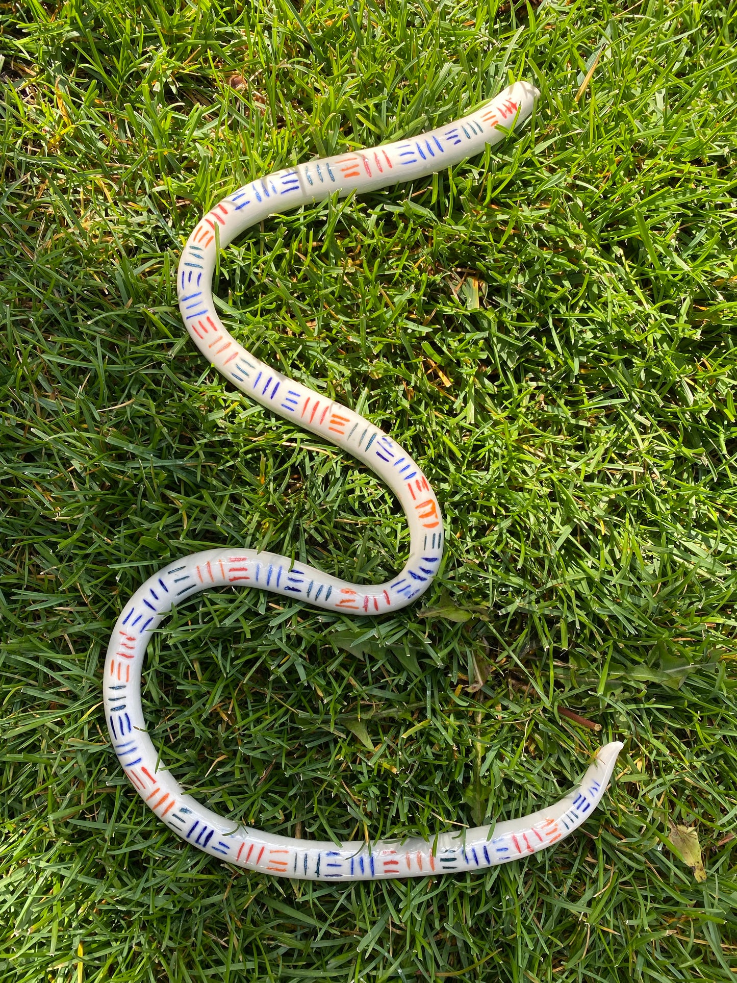 Rainbow Snake