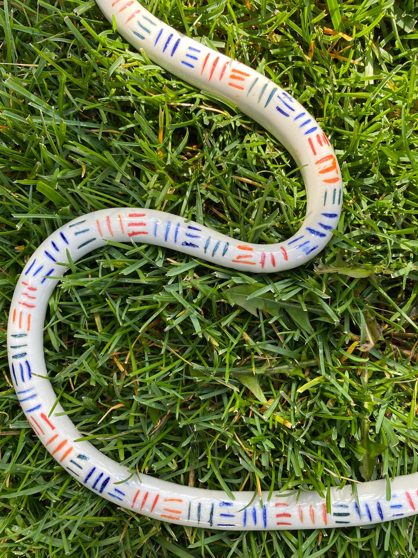 Rainbow Snake