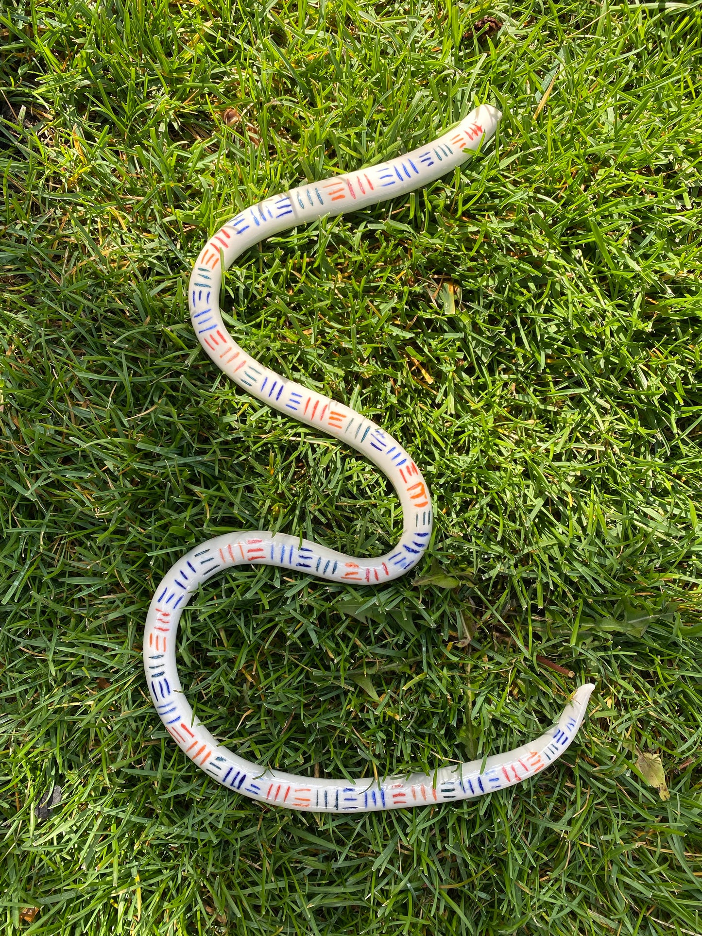 Rainbow Snake