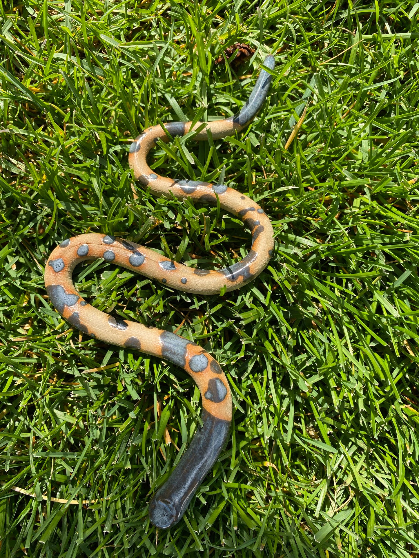 Snake
