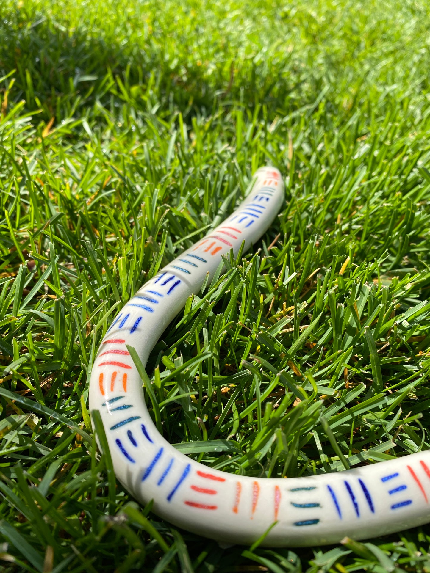 Rainbow Snake