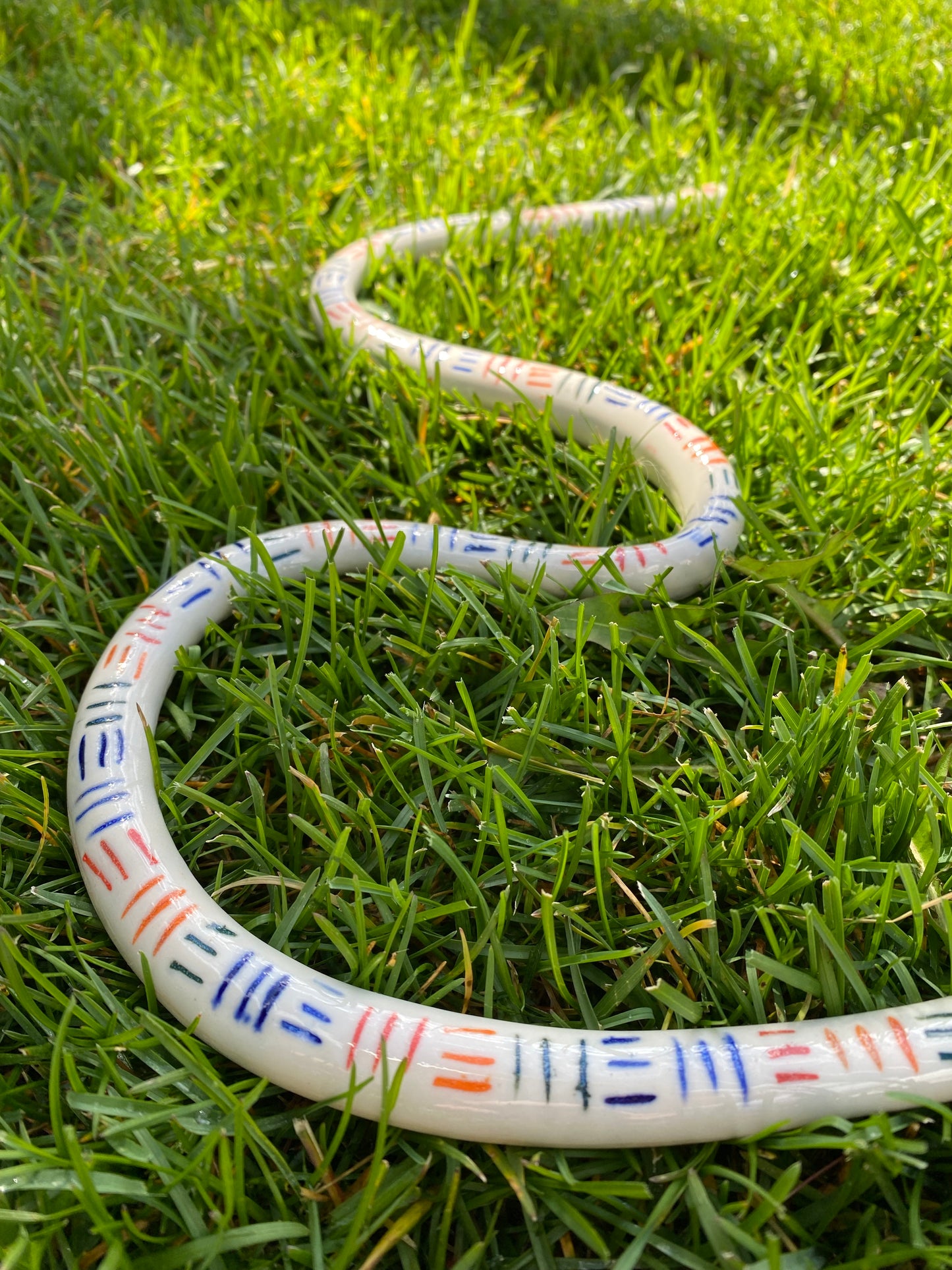 Rainbow Snake