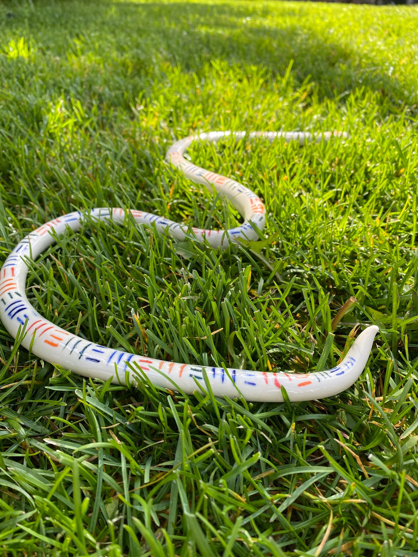 Rainbow Snake