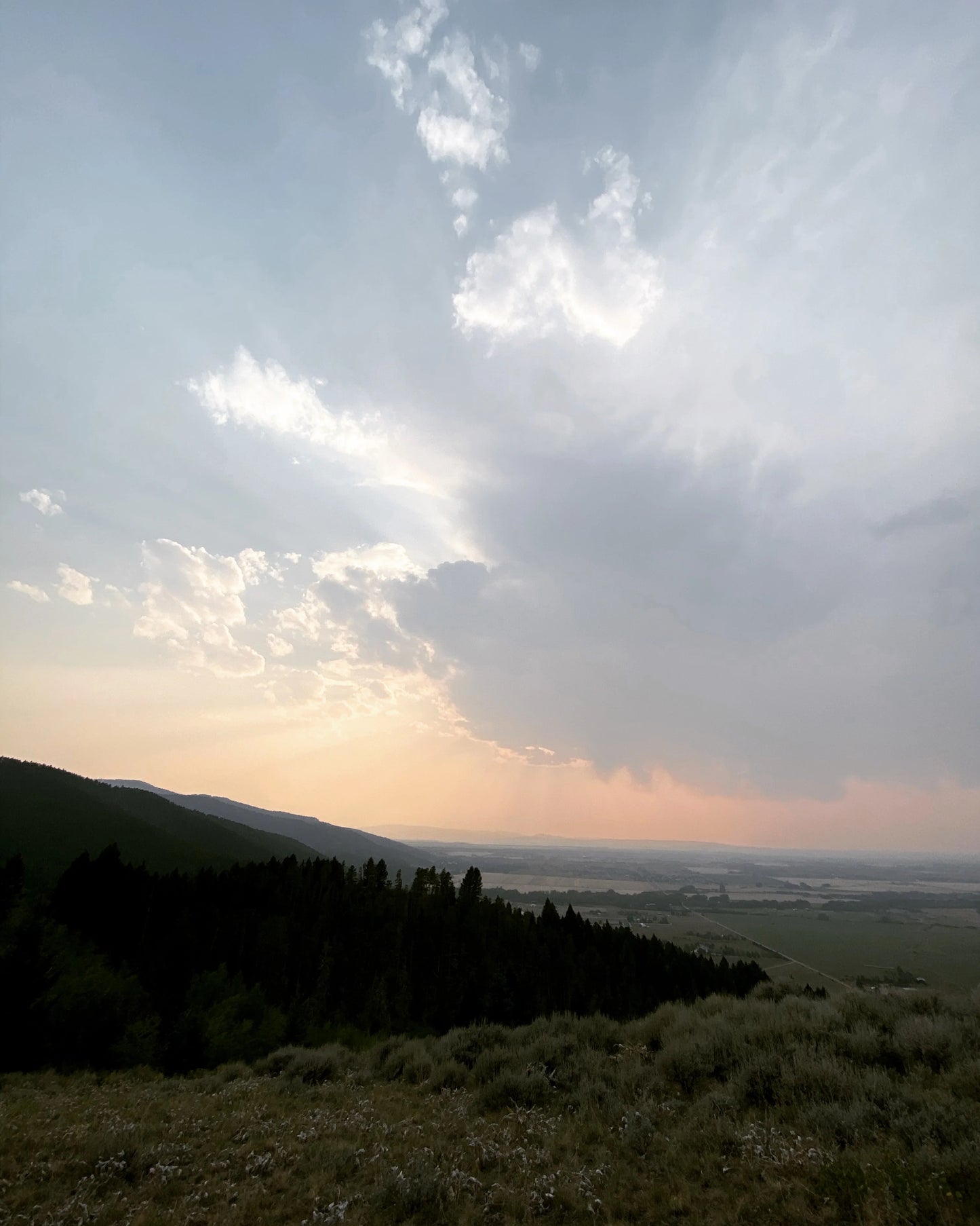 NTHM - NEW Product/Service/Food Provider